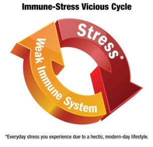 The relation of Stress to Immunity. As stress increases, immunity decreases.