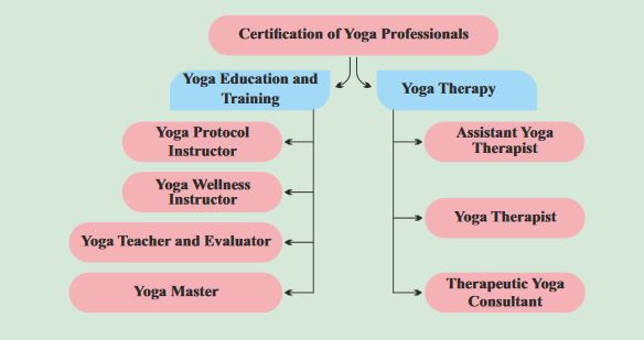 Levels of Yoga Certifications by Yoga Certification Board