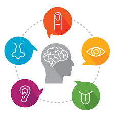 Stimulations through the senses
